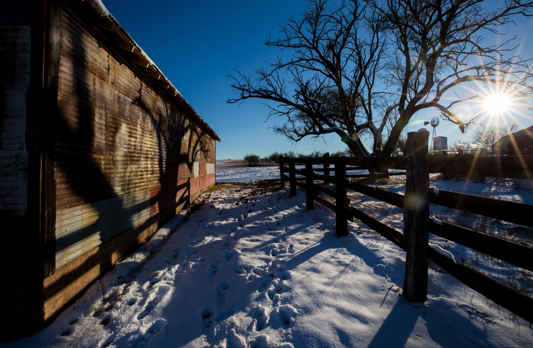 Snow in southeast Arizona